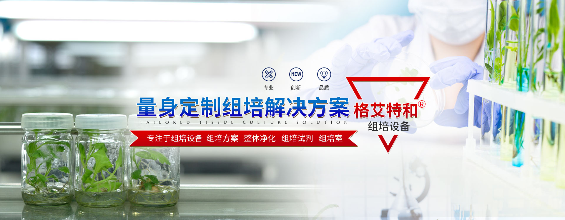 蘑菇视频成人在线观看设备