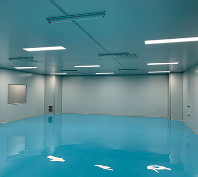 蘑菇视频成人在线观看室净化