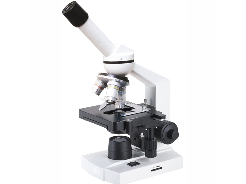 ç»å¹è®¾å¤