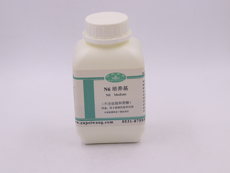 蘑菇视频成人在线观看设备