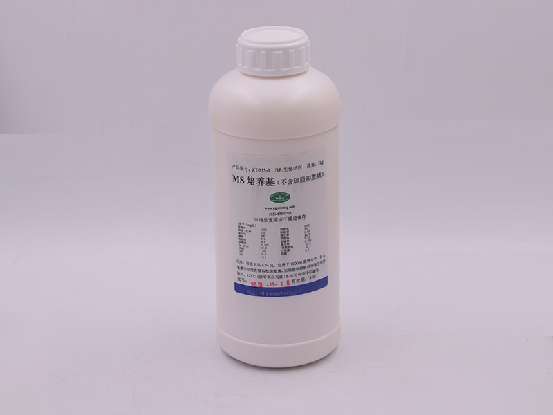 蘑菇视频成人在线观看设备