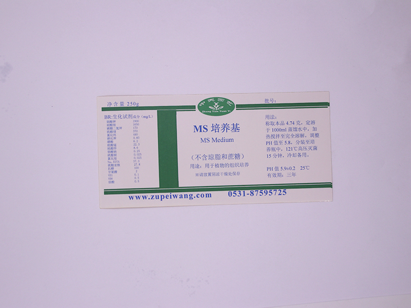 蘑菇视频成人在线观看设备