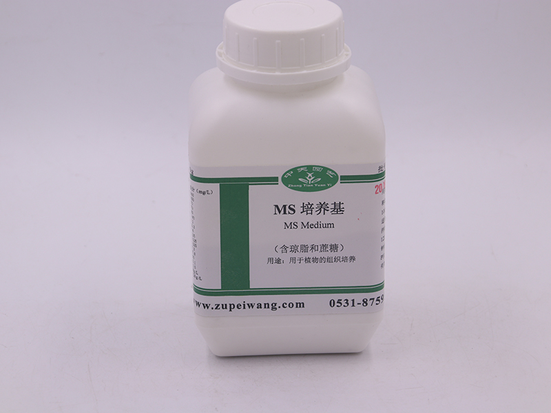 蘑菇视频成人在线观看设备