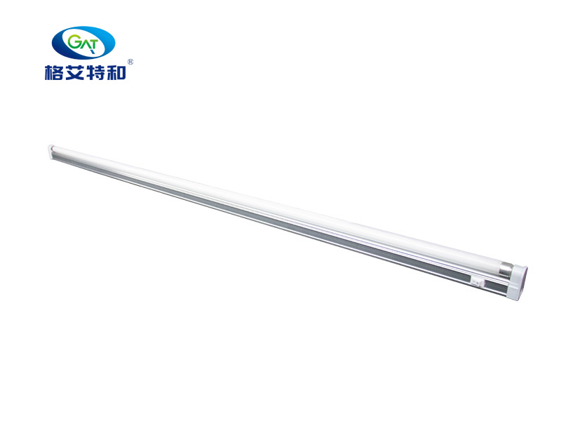 全光谱蘑菇视频成人在线观看灯（荧光灯）