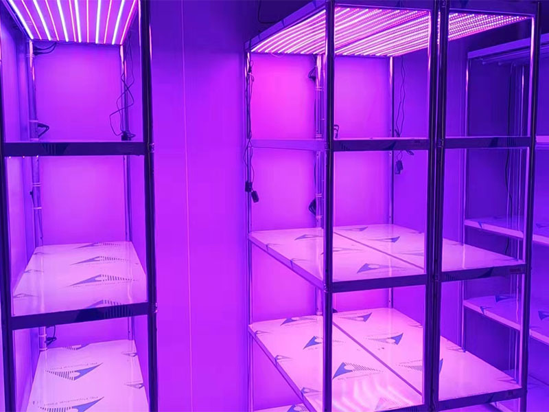 福州市平潭县台湾创业园可调光谱蘑菇视频成人在线观看架工程