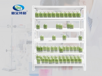 培养架,蘑菇视频成人在线观看架