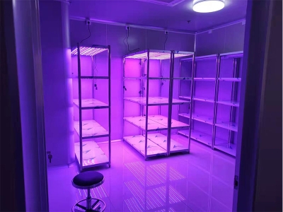 可调光谱蘑菇视频成人在线观看架