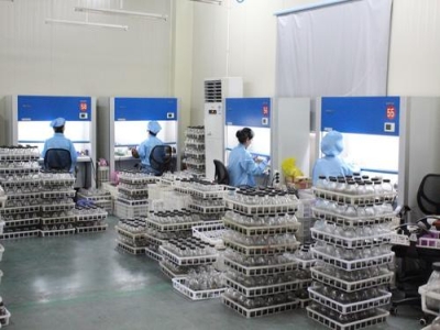 蘑菇视频成人在线观看实验室