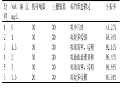 蘑菇视频成人在线观看苗