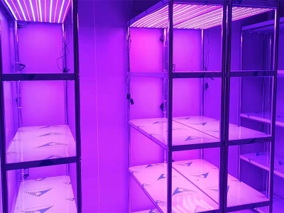 可调光谱蘑菇视频成人在线观看架