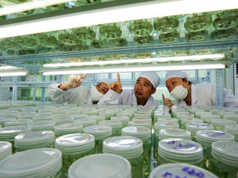 蘑菇视频成人在线观看室2