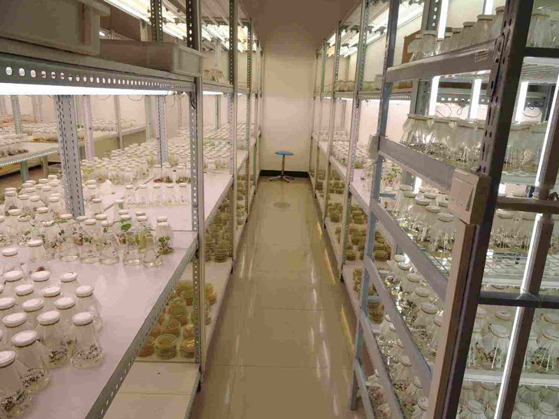 蘑菇视频成人在线观看室1