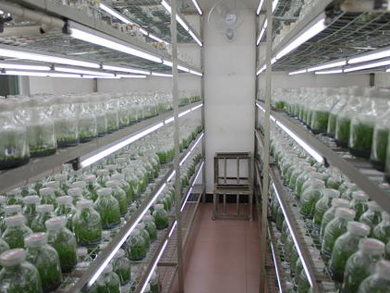 蘑菇视频成人在线观看实验室