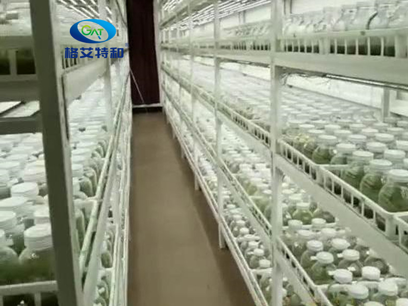 蘑菇视频成人在线观看架,培养架