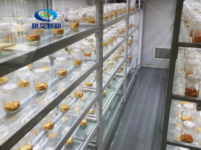 蘑菇视频成人在线观看架,培养架