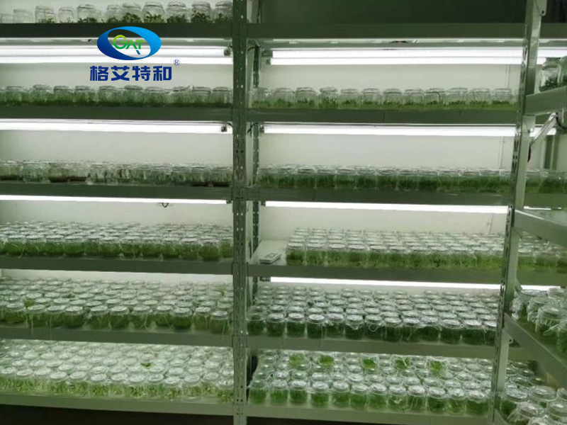 蘑菇视频成人在线观看架,培养架