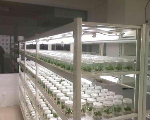 蘑菇视频成人在线观看快繁