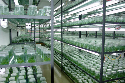 蘑菇视频成人在线观看快繁