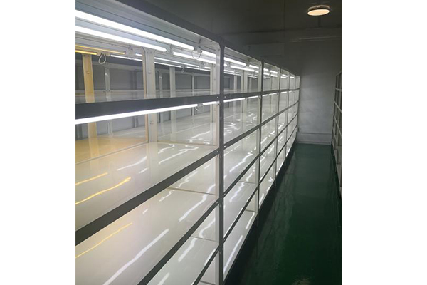 蘑菇视频成人在线观看架