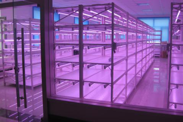 蘑菇视频成人在线观看架