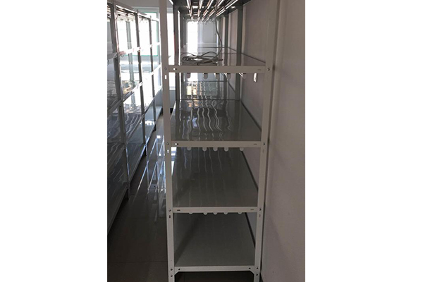 蘑菇视频成人在线观看架