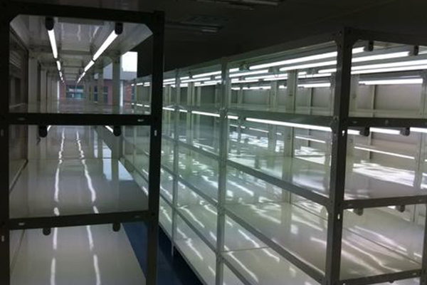 蘑菇视频成人在线观看设备