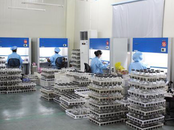 全套蘑菇视频成人在线观看设备