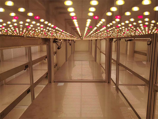 蘑菇视频成人在线观看室设计厂家