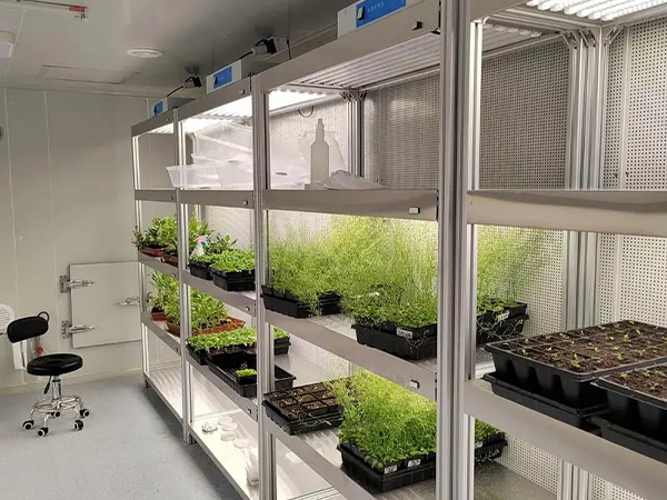 蘑菇视频成人在线观看室设计