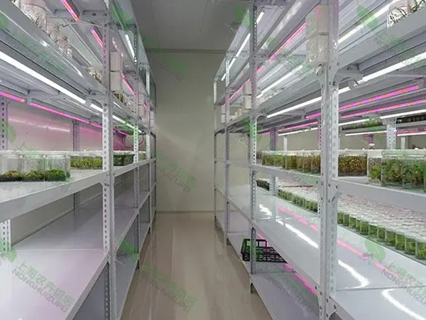 蘑菇视频成人在线观看室设计厂家