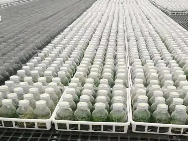 蘑菇视频成人在线观看室设计建设公司 蘑菇视频成人在线观看室设计建设公司