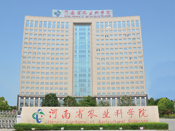 蘑菇视频成人在线观看设计