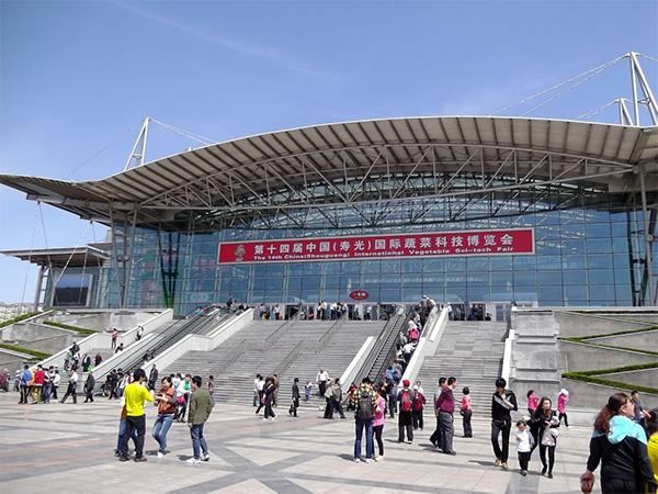 蘑菇视频成人在线观看室建设