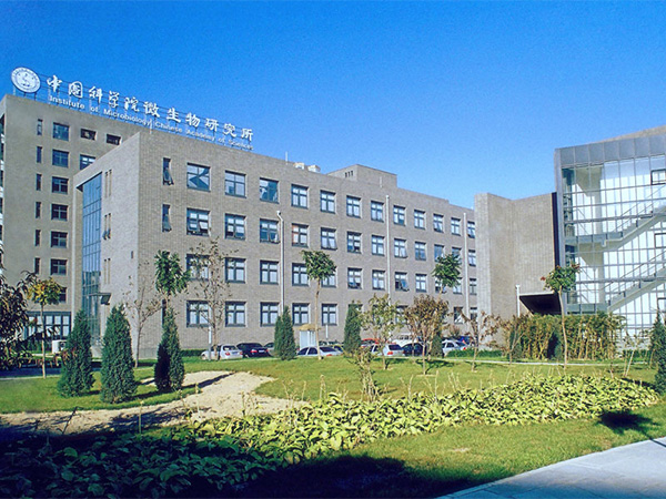 蘑菇视频成人在线观看建设