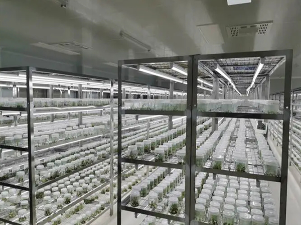 蘑菇视频成人在线观看架公司